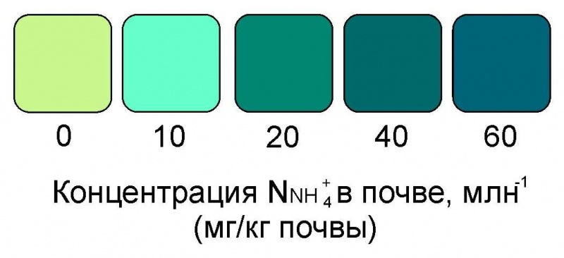 Образцы цветовых шкал на примерах полуколичественных тест-комплектов для определения обменного аммония в почвенных вытяжках