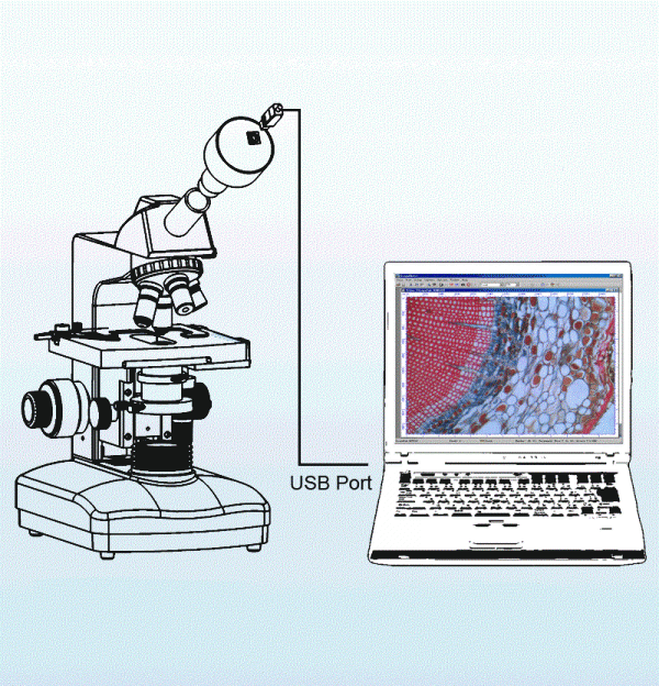 Установка в монокулярный микроскоп - в тубус визуальной насадки вместо окуляра